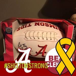 Meet your Posher, Ginger